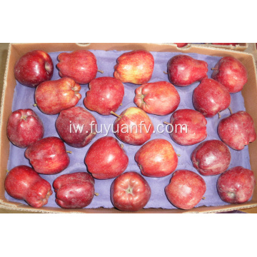 אדום טעים Huanyu תפוח למכירה